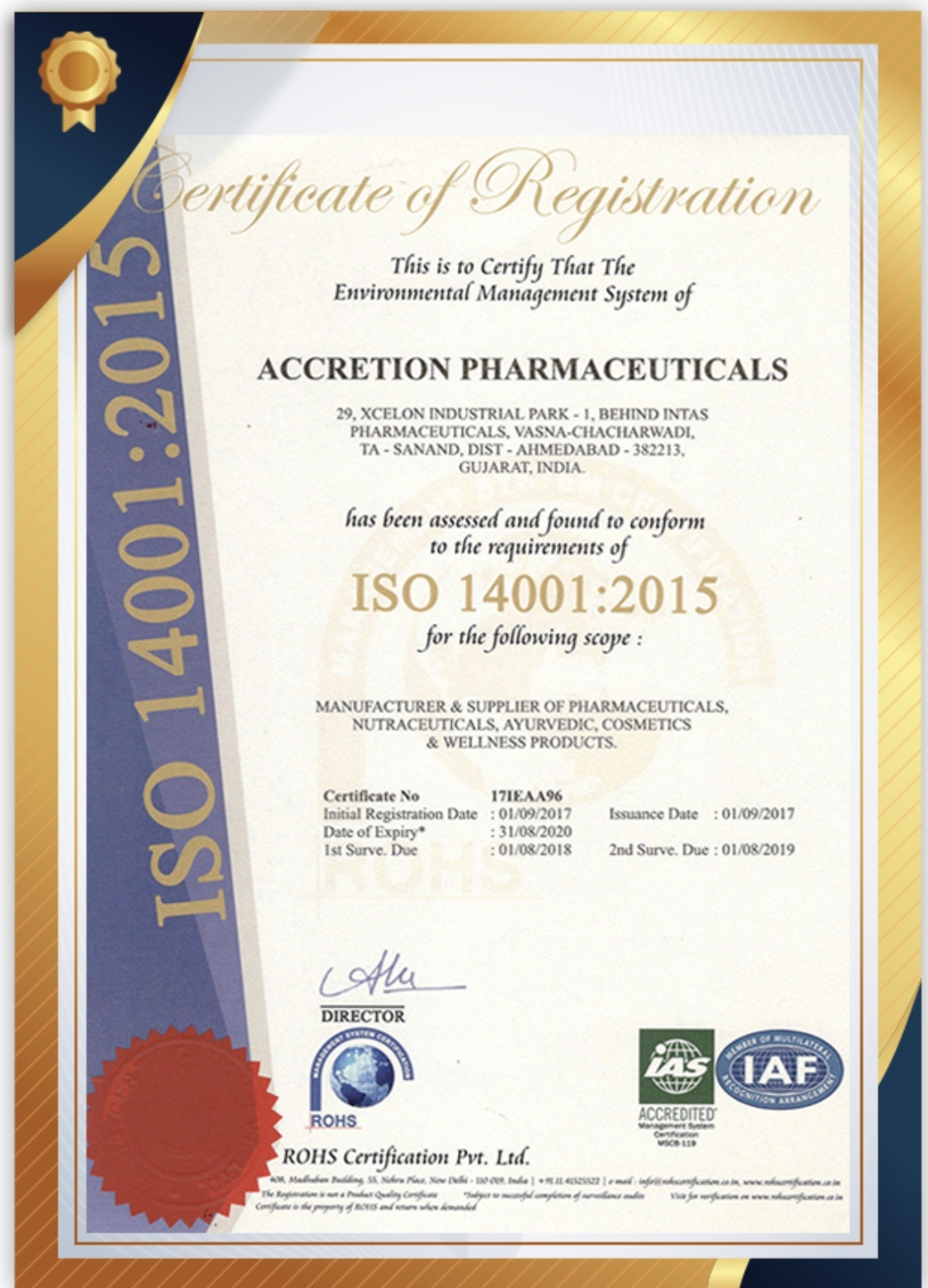 Third Party Manufacturing Service - Who Cgmp Certified, Large Scale Production Capacity, Customizable Blister Pack Solutions, Stringent Quality Control