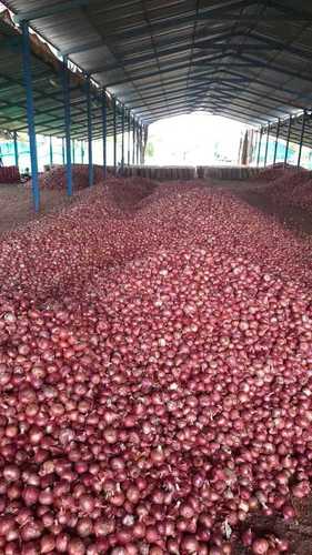 Red Onion