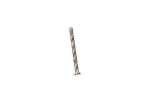 BRASS SCREW