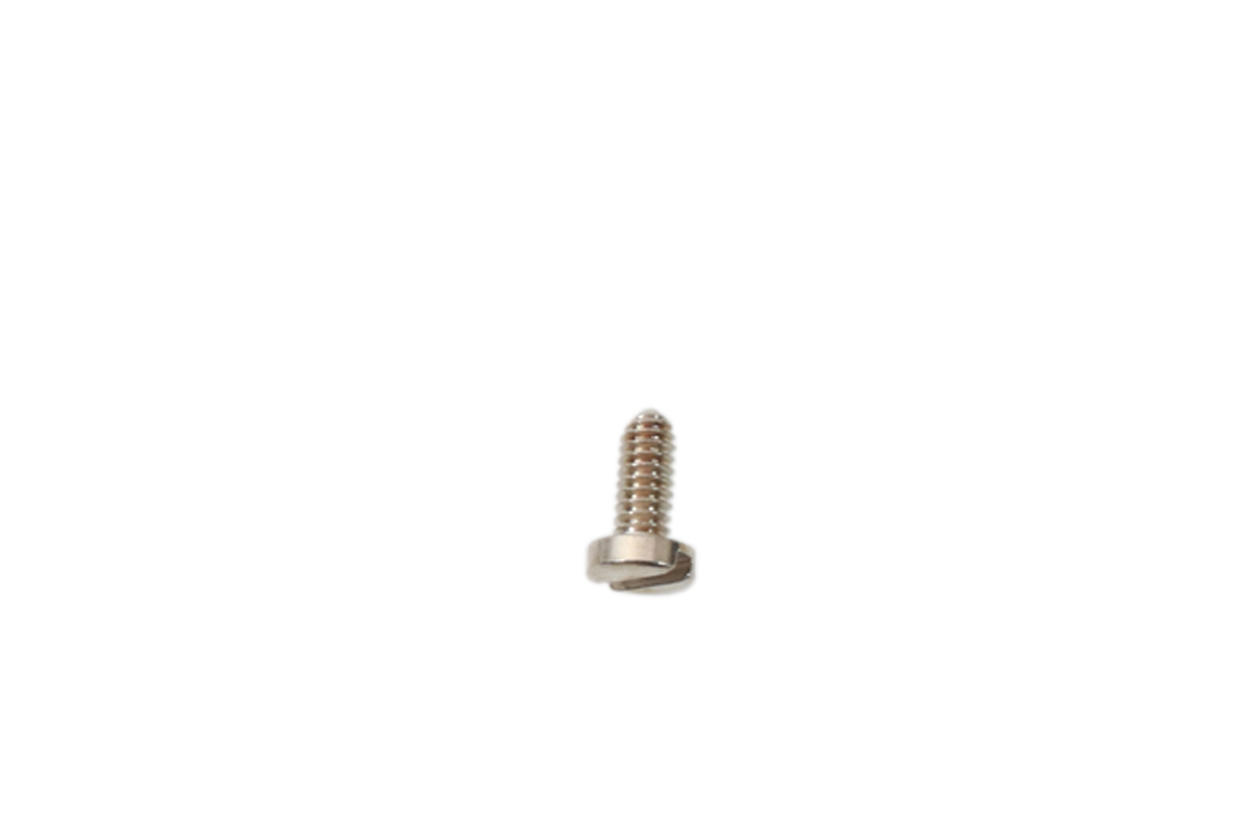 Brass Screw