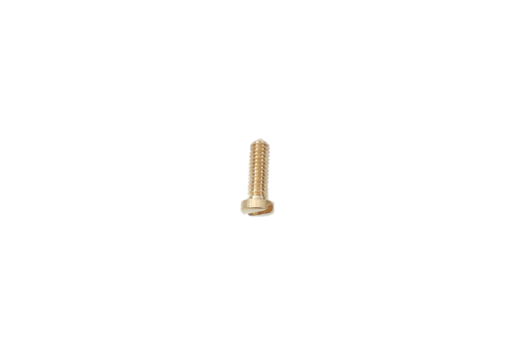 Brass Screw
