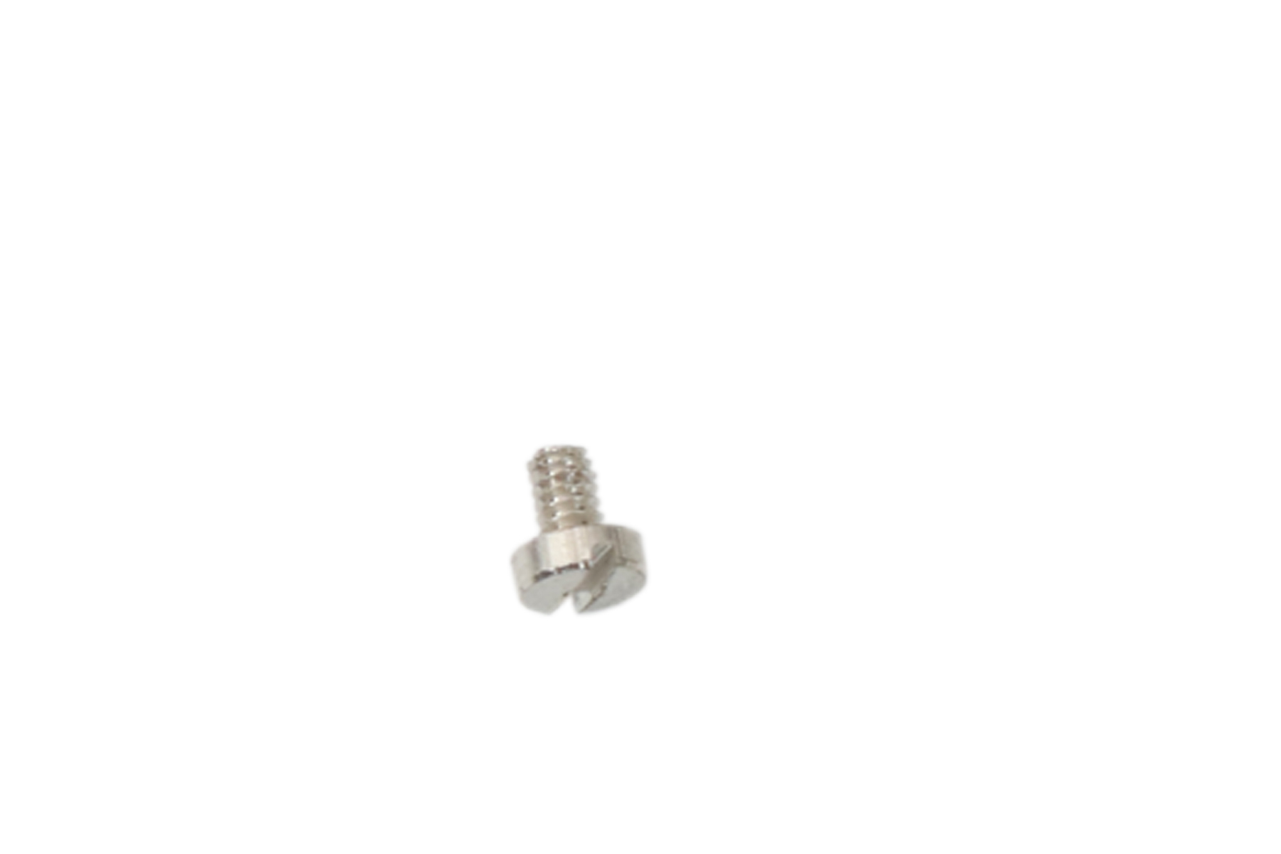 Brass Screw