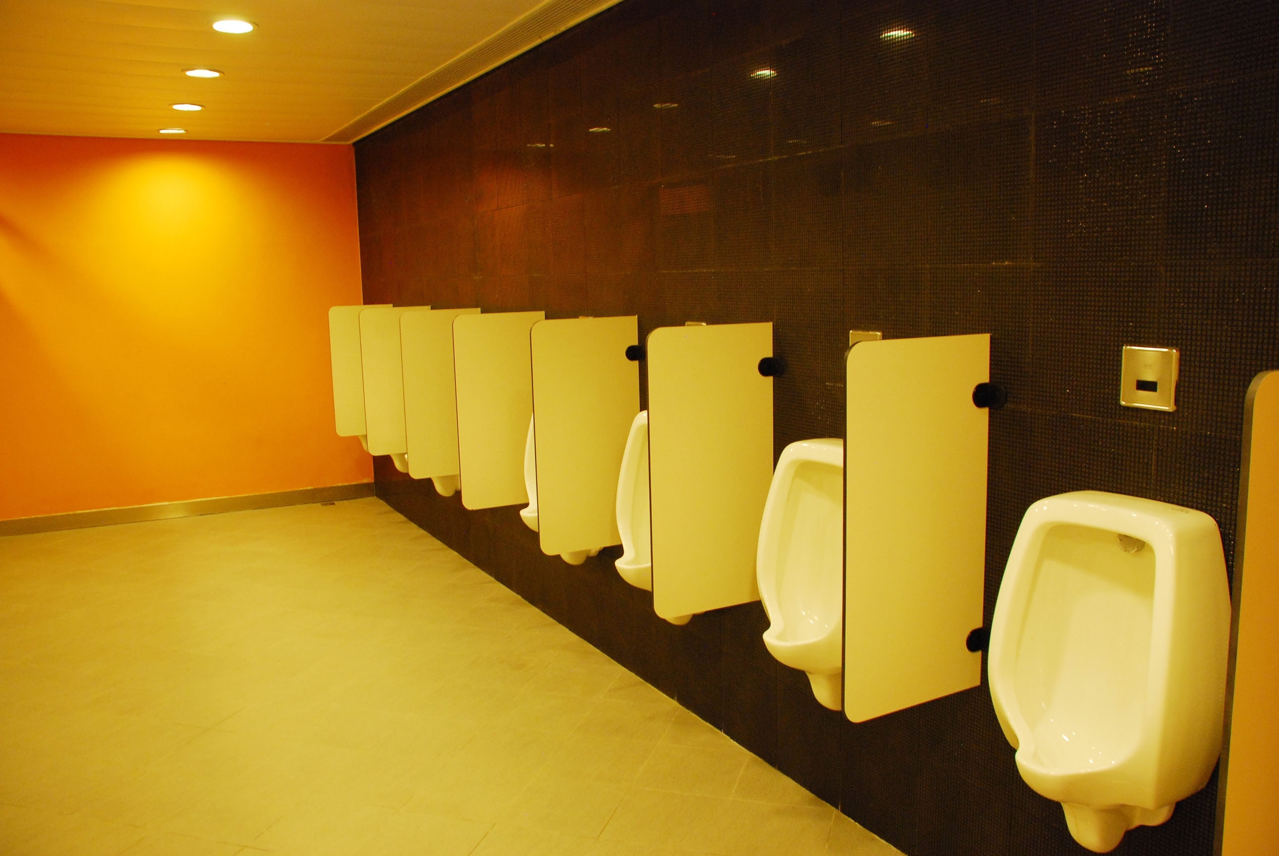 Rectangular Hpl Urinal Partition - Straight