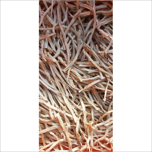 Safed Satabar Dry Root
