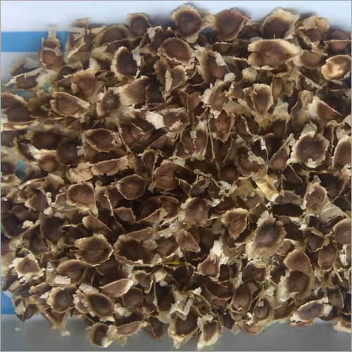 Moringa Seeds