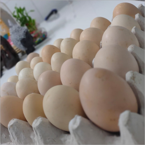 Fresh Eggs - Chicken | Standard Size, Sourced From Reputed Poultry Farms, Hygienically Packaged For Quality Preservation