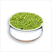 Mung Bean