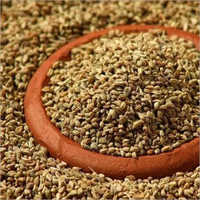 Natural Ajwain