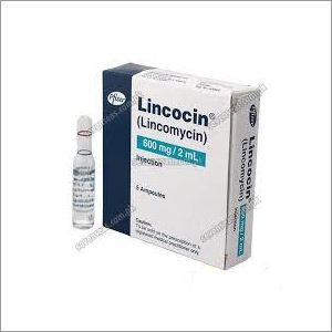 Lincomycin Injection - 300mg & 600mg Doses | Liquid Formulation, Suitable For All, Anti-Bacterial Treatment, Vial Packaging