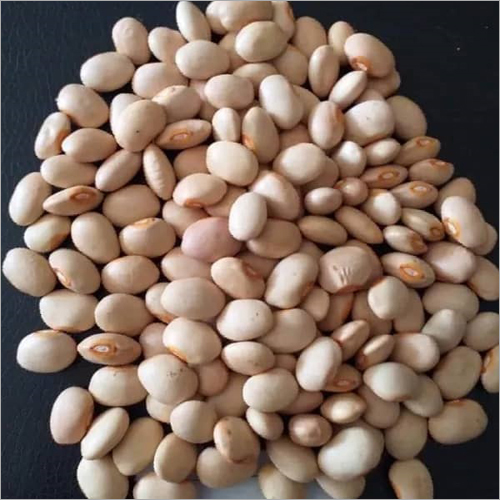 सोया सेम