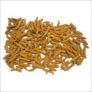 हल्दी की अंगुली