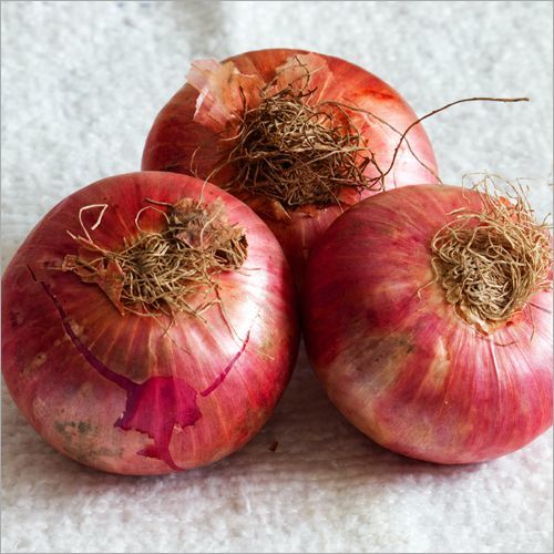 Fresh Red Onion