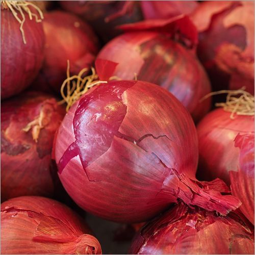Fresh Red Onion