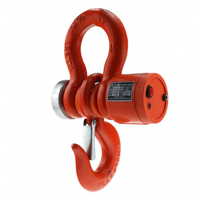10 Ton X 5 Kg Wireless Crane Scale Accuracy: 2000 Gm
