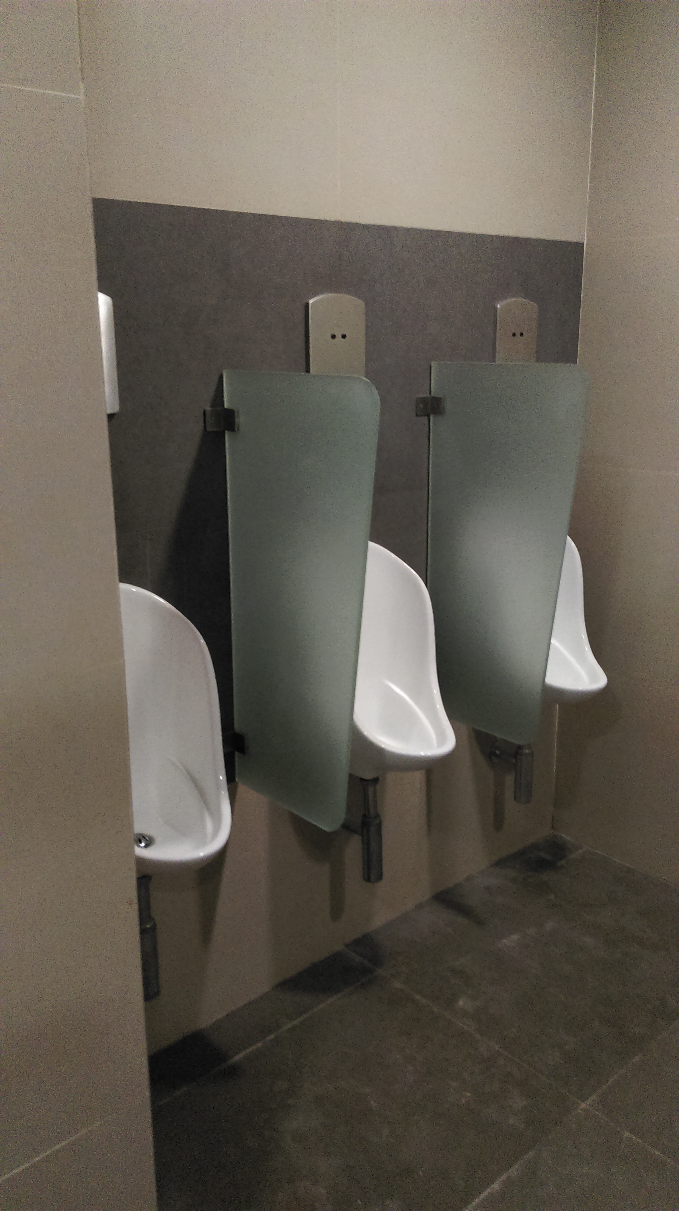 Glass Urinal Partition - Chamfer