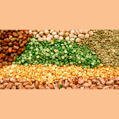 Organic Pulses - Dried Pulses, Green Mixed Variety | USDA Organic Certification, Bulk/Bags Packaging for Culinary and Animal Feed Uses
