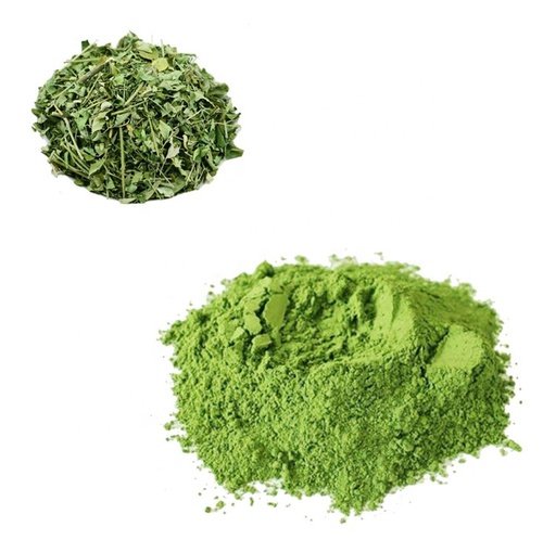 Moringa Oleifera - Natural Dry Leaves, Rich In Nutrients And Antioxidants