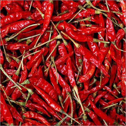 Dry Red Chilli