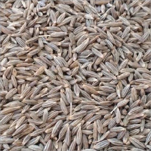 Cumin Seed