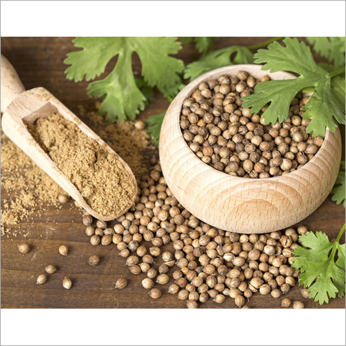 Coriander Seed - Small Brown Seeds, Hard Texture | Rich in Folate, Antioxidants, Supports Intestinal Health