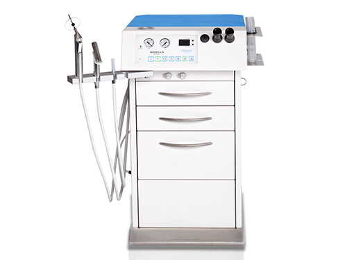 मोदुला मिनी