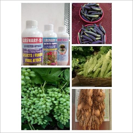 Organic Insecticide Protection