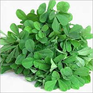 Frozen Fenugreek Leaf Shelf Life: 6 Days