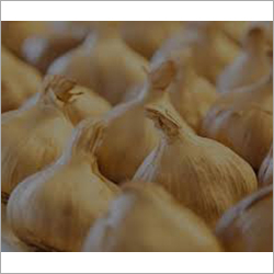 ऑर्गेनिक लहसुन
