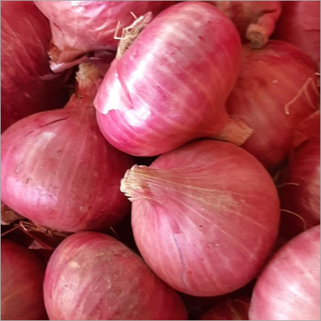 Nashik Onion