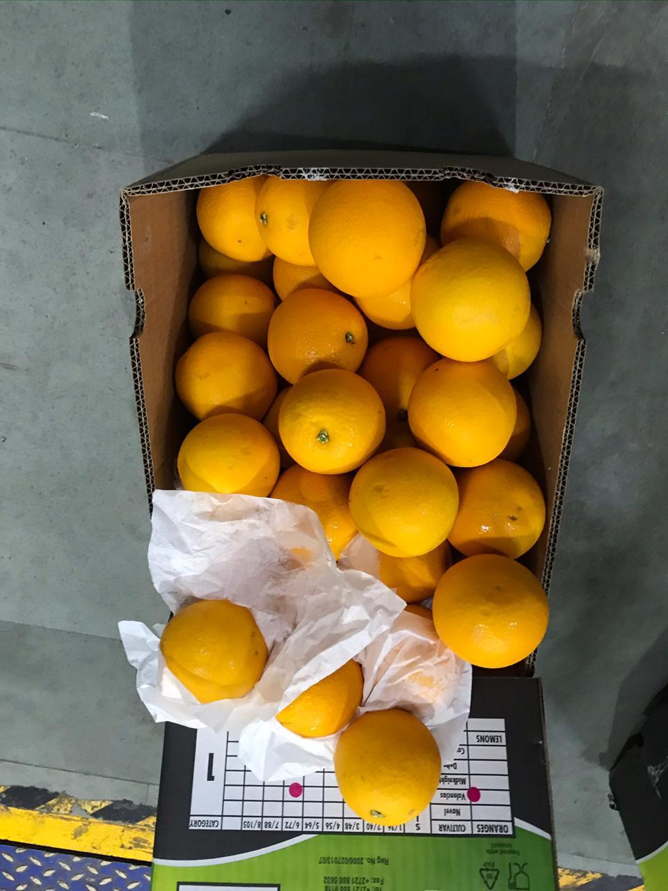 Orange Fruit