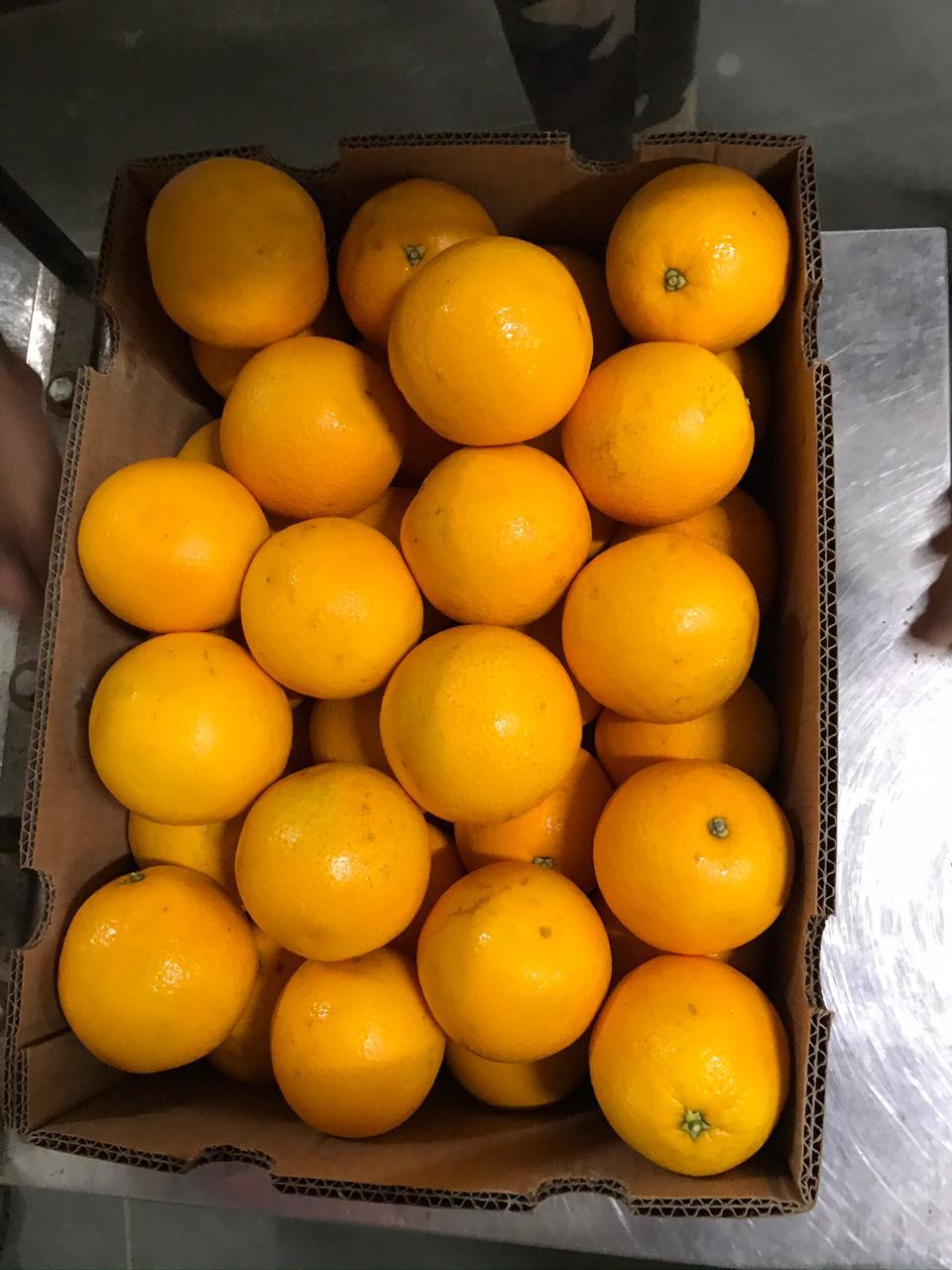 Orange Fruit