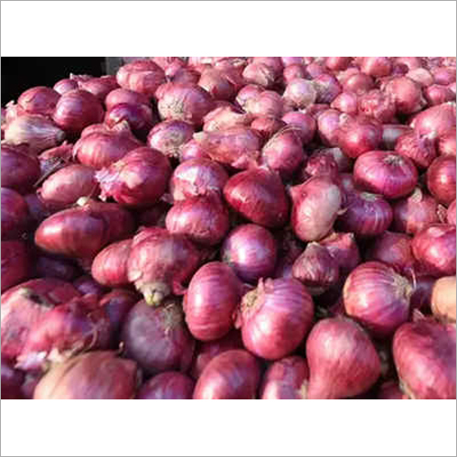 Fresh Onion - Organic, Natural Shape | Loaded with Antioxidants, Fiber-Rich, Supports Collagen Building, Ideal for Culinary Uses