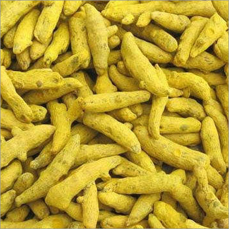 Yellow Dry Turmeric Finger