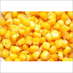 Yellow Fresh Sweet Corn