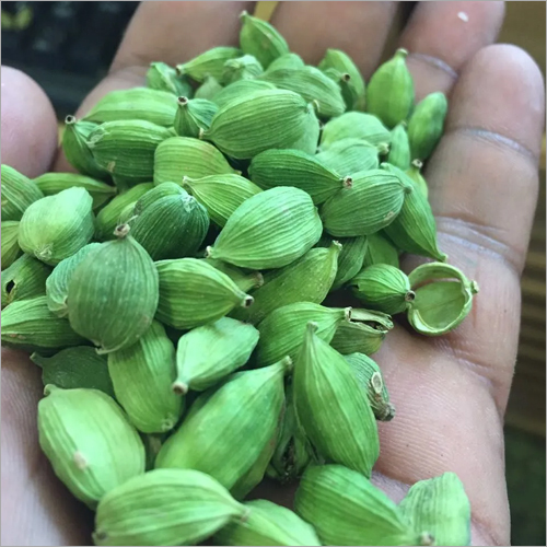 Green Cardamom - Grade A, 100% Natural Green Color | Freshly Processed For Tempting Flavor, Long Shelf Life, And Medicinal Benefits