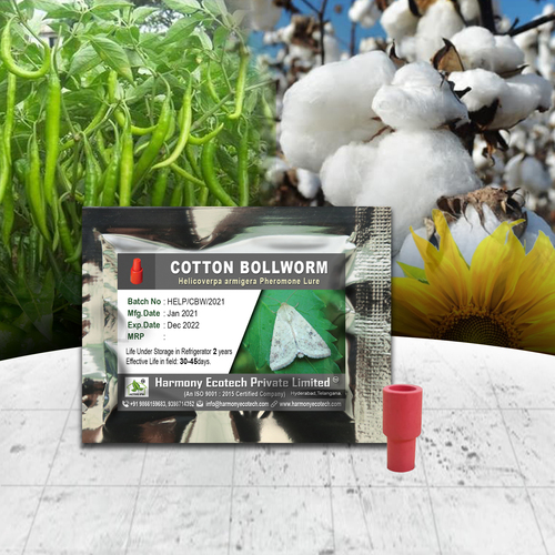 हेलिकोवर्पा अर्मिगेरा फेरोमोन ल्यूर (कॉटन बॉल वर्म) उपयोग: कृषि