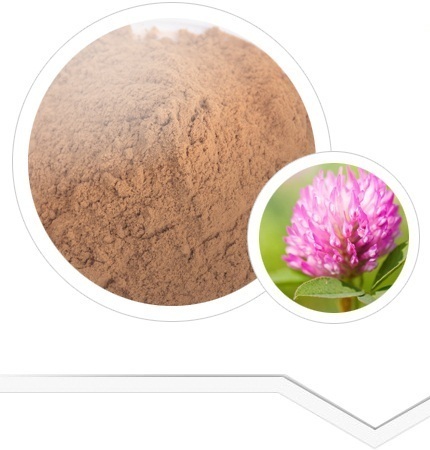 Red Clover Extract - Brown Powder | High Phytoestrogenic Isoflavones for Osteoporosis Support, Bulk Packaging