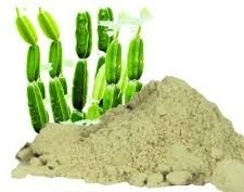 Cissus Quadrangularis Extract - Powder Form, Beige Color | Water Extracted, 2-Year Shelf Life, Sealed Container