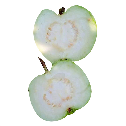  ताइवान व्हाइट अमरूद प्लांट