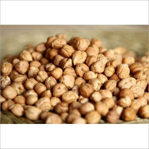 Fresh Chickpeas