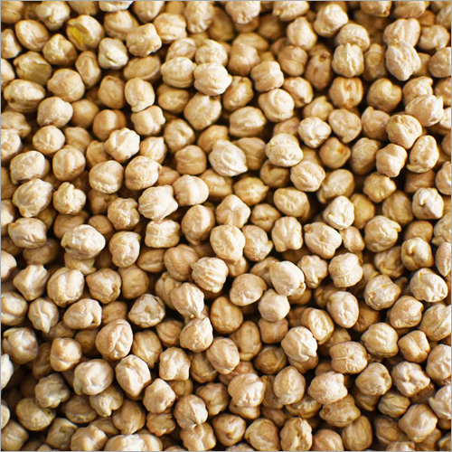 Fresh Chickpeas