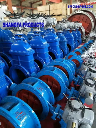 Double Eccentric Butterfly Valves
