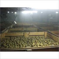 Potato Cold Storage - High-grade Insulated Container , Extended Freshness And Temperature Control