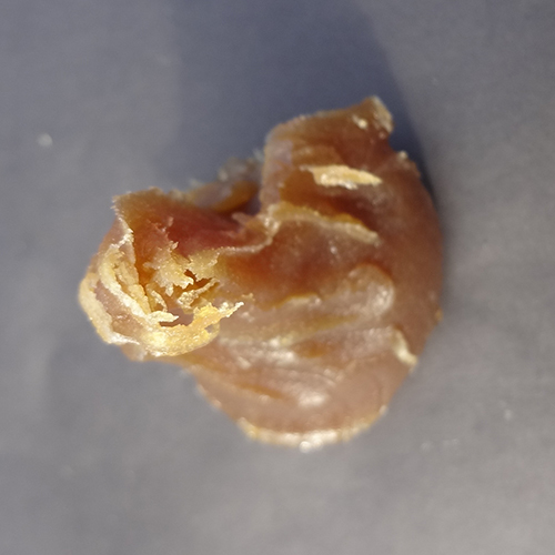 अवशेष मोम