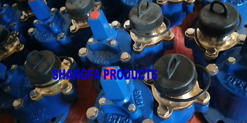 Bs750 Fire Hydrant Application: Water Pipelines