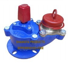Bs750 Fire Hydrant Application: Water Pipelines