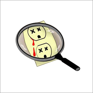 विद्युतीकरण सेवाएं