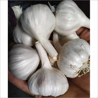 प्राकृतिक भारतीय ताजा लहसुन