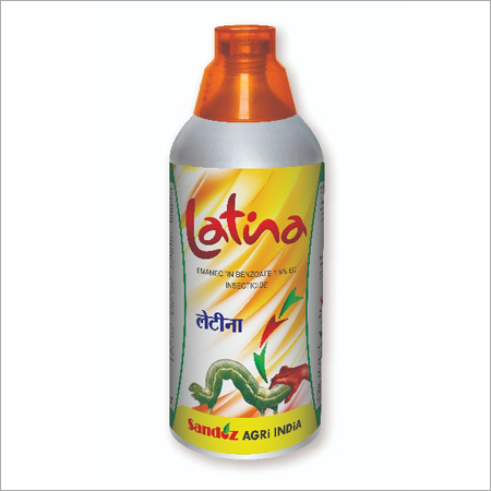 Latina