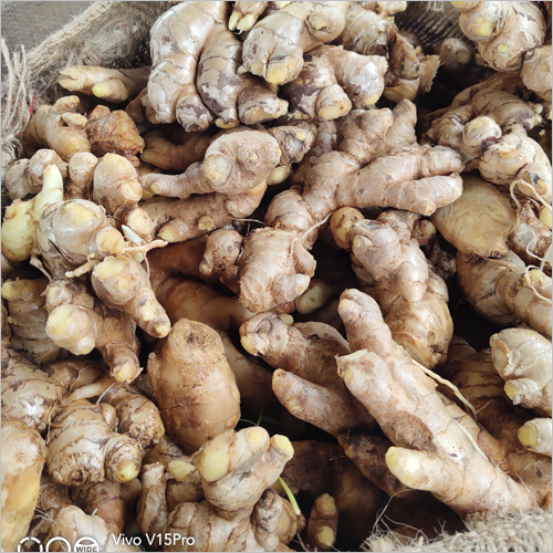 Dry Ginger - Food Grade, 100% Natural Brown Ginger | Lightweight, Store in Dry Place, Customizable Weight